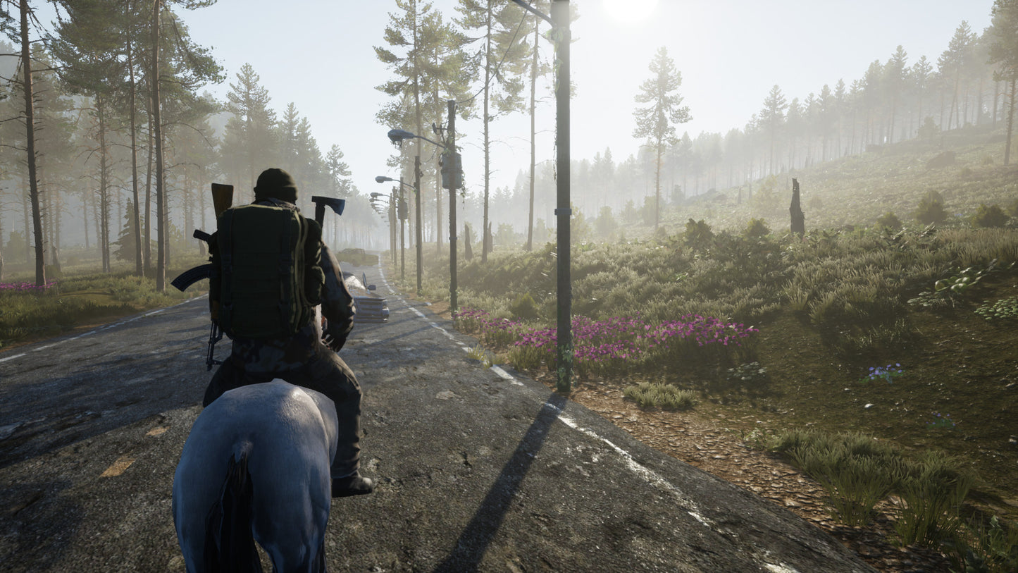 Dead District: Survival Steam CD Key