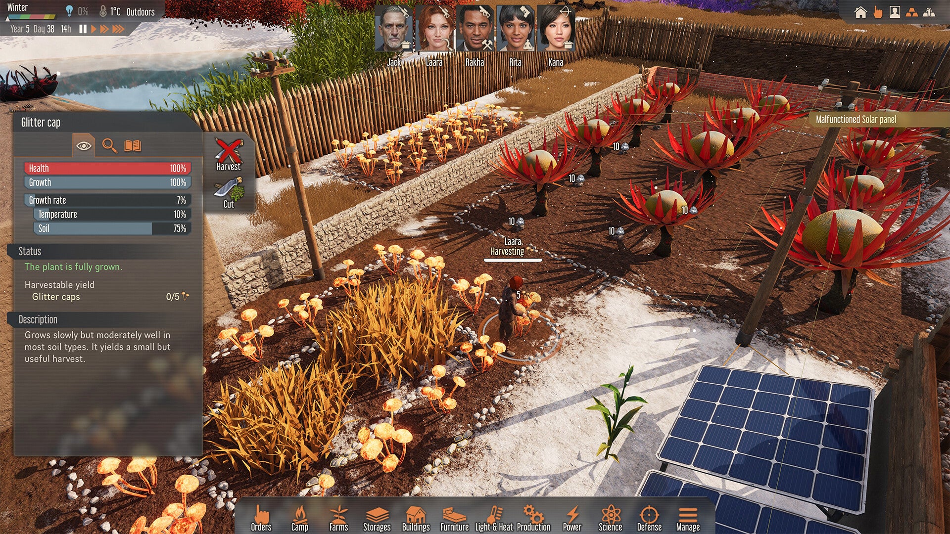 Stranded: Alien Dawn XBOX One / Xbox Series X|S Account