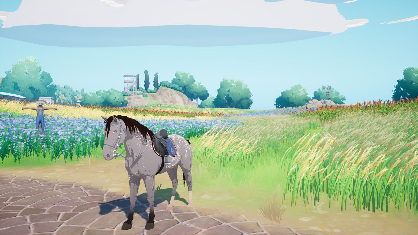 Horse Tales: Emerald Valley Ranch EU Nintendo Switch CD Key