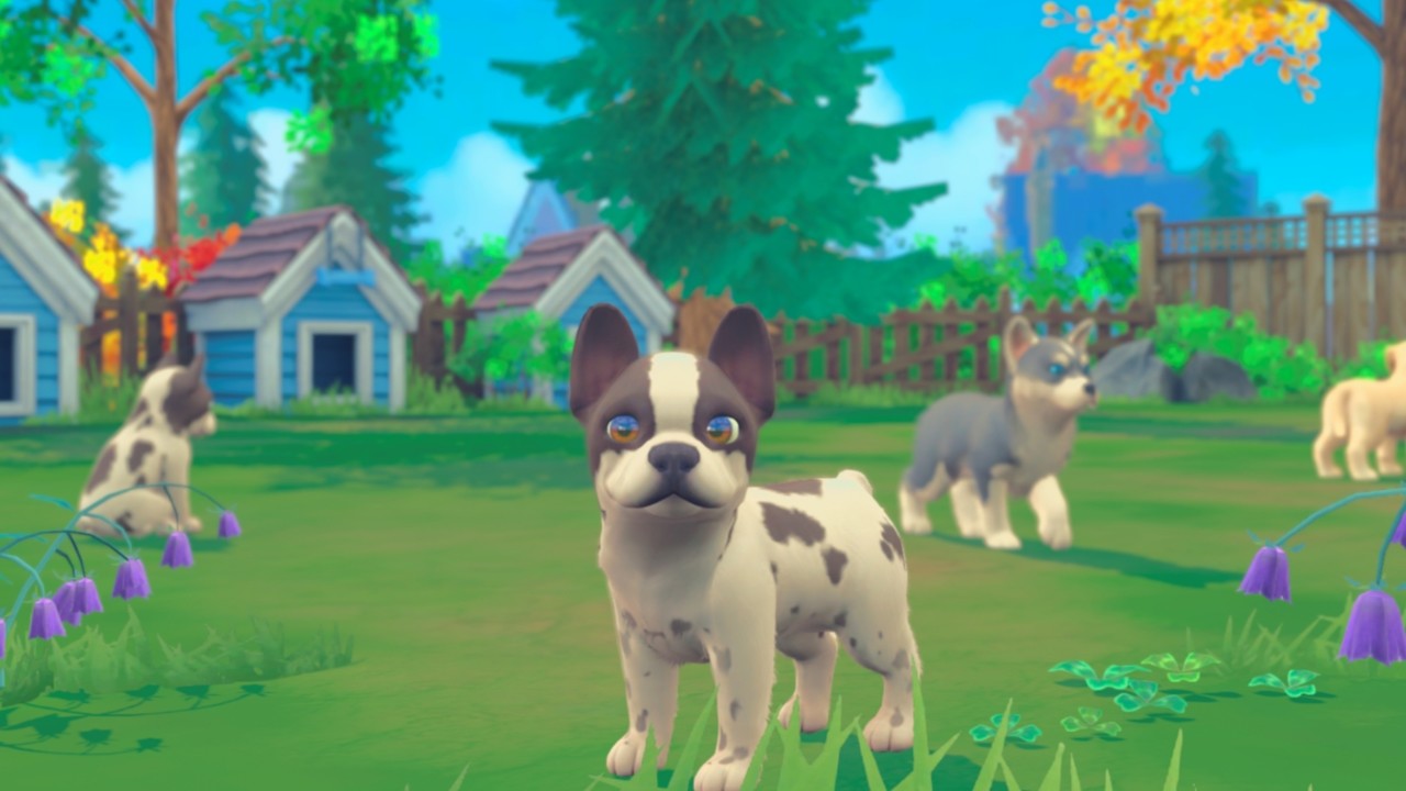 My Universe - Puppies & Kittens EU Nintendo Switch CD Key