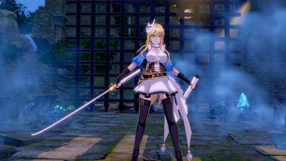 Frontier Hunter: Erza’s Wheel of Fortune PS5 Account
