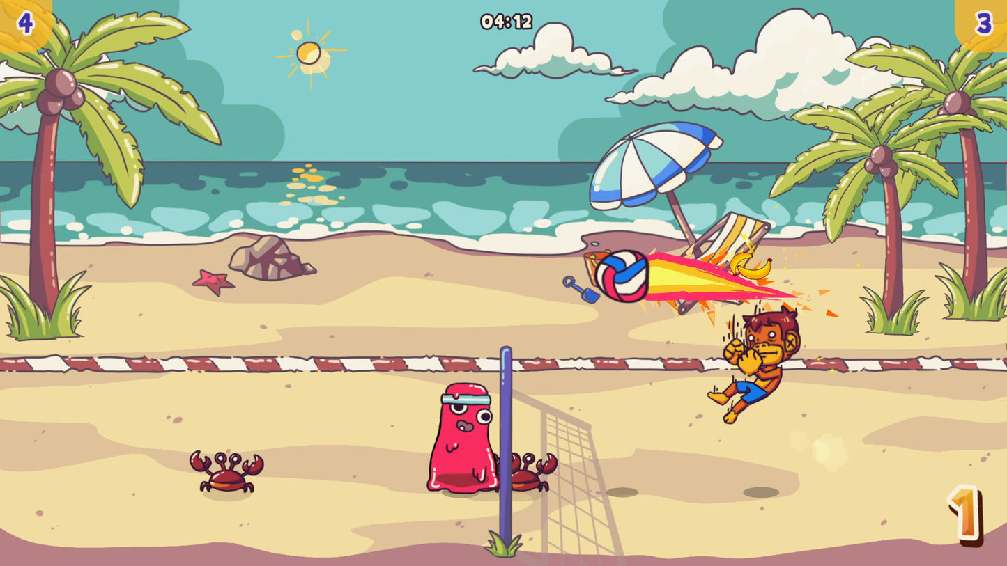 Volley Pals EU Nintendo Switch CD Key