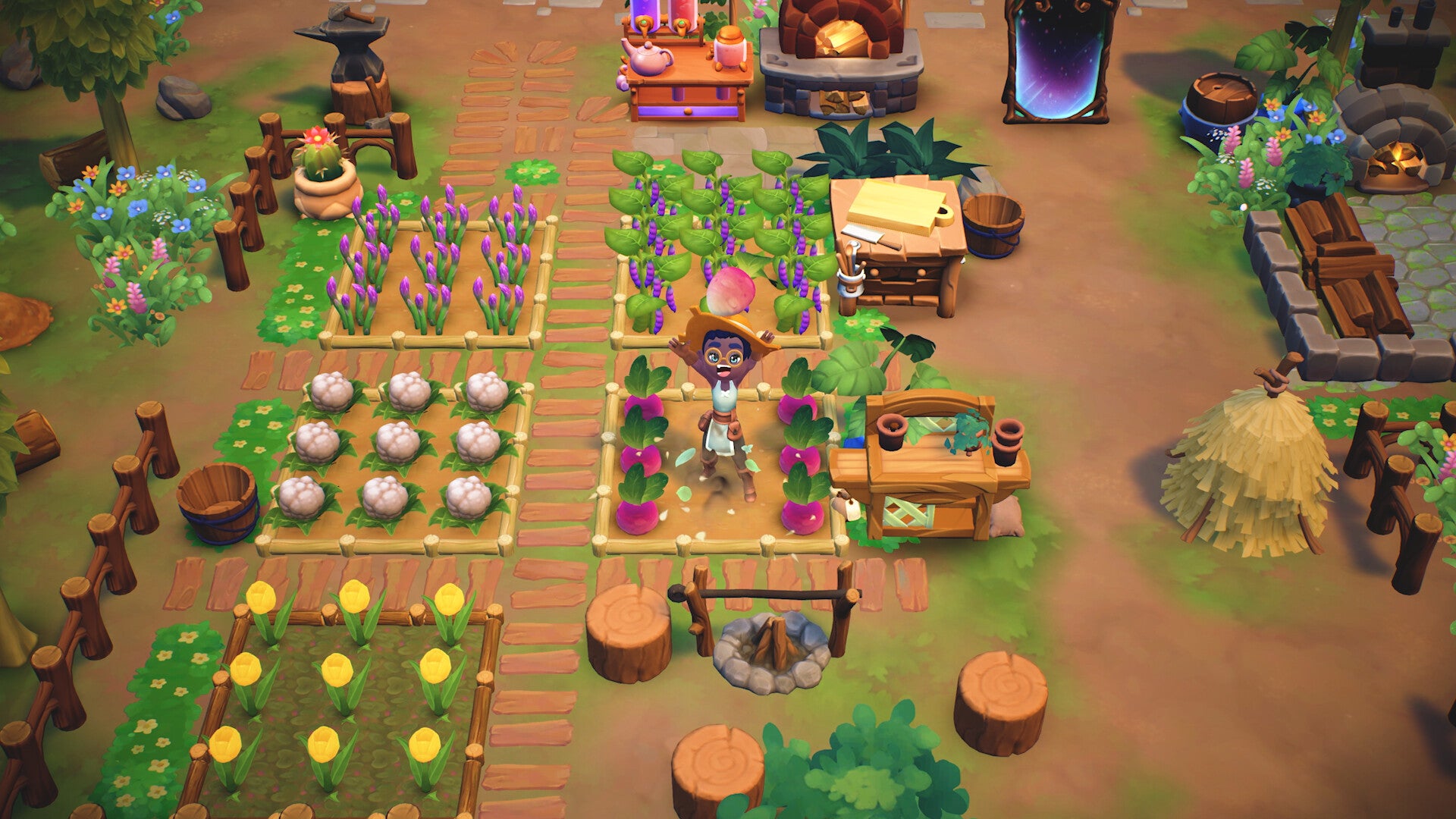 Fae Farm Nintendo Switch Online Account Activation