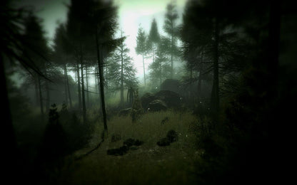 Slender: The Arrival PlayStation 4/5 Account