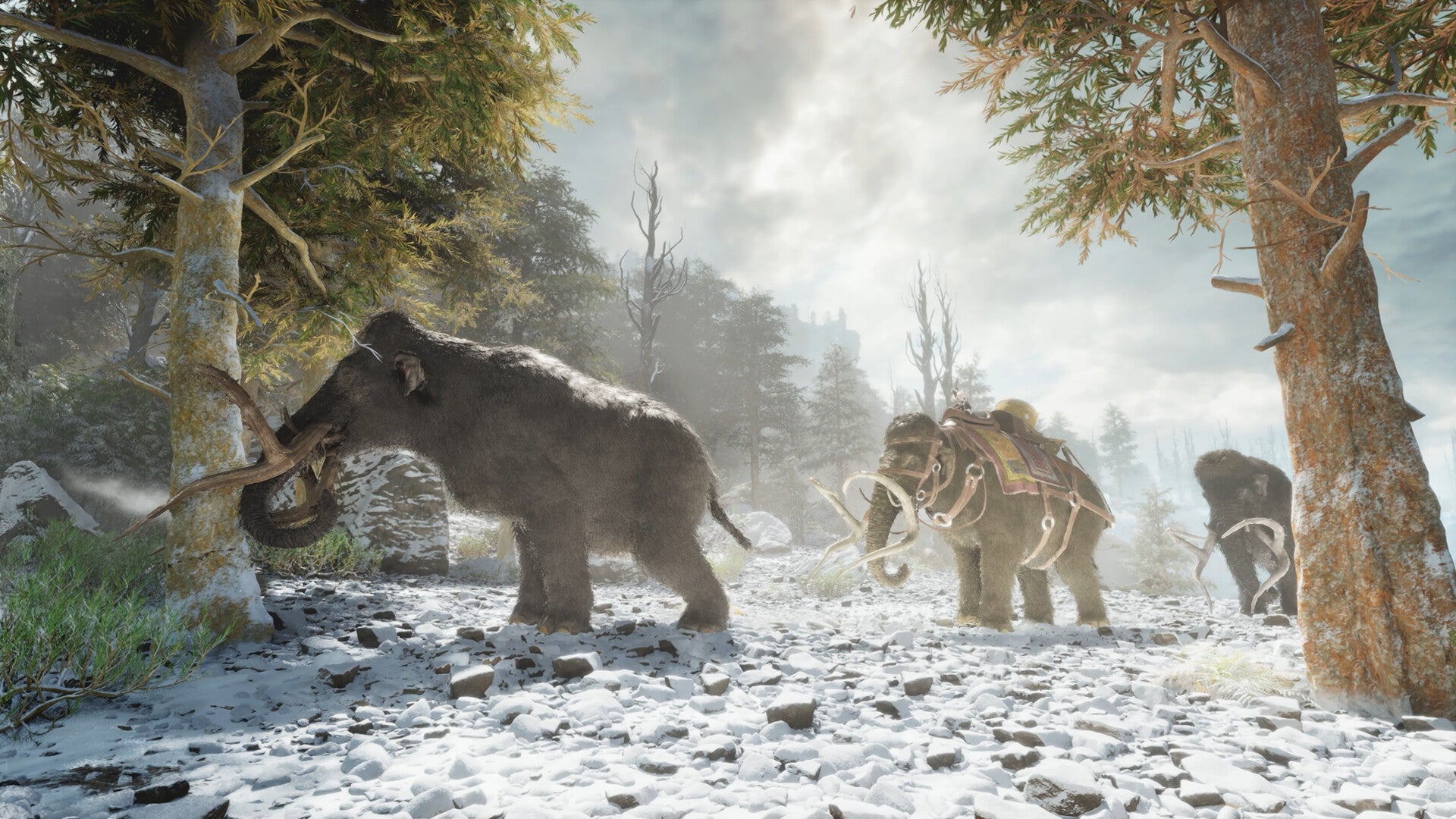 ARK: Survival Ascended AU Xbox Series X|S / PC CD Key