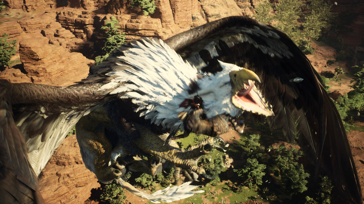 Dragon's Dogma 2 PS5 Online Account Activation