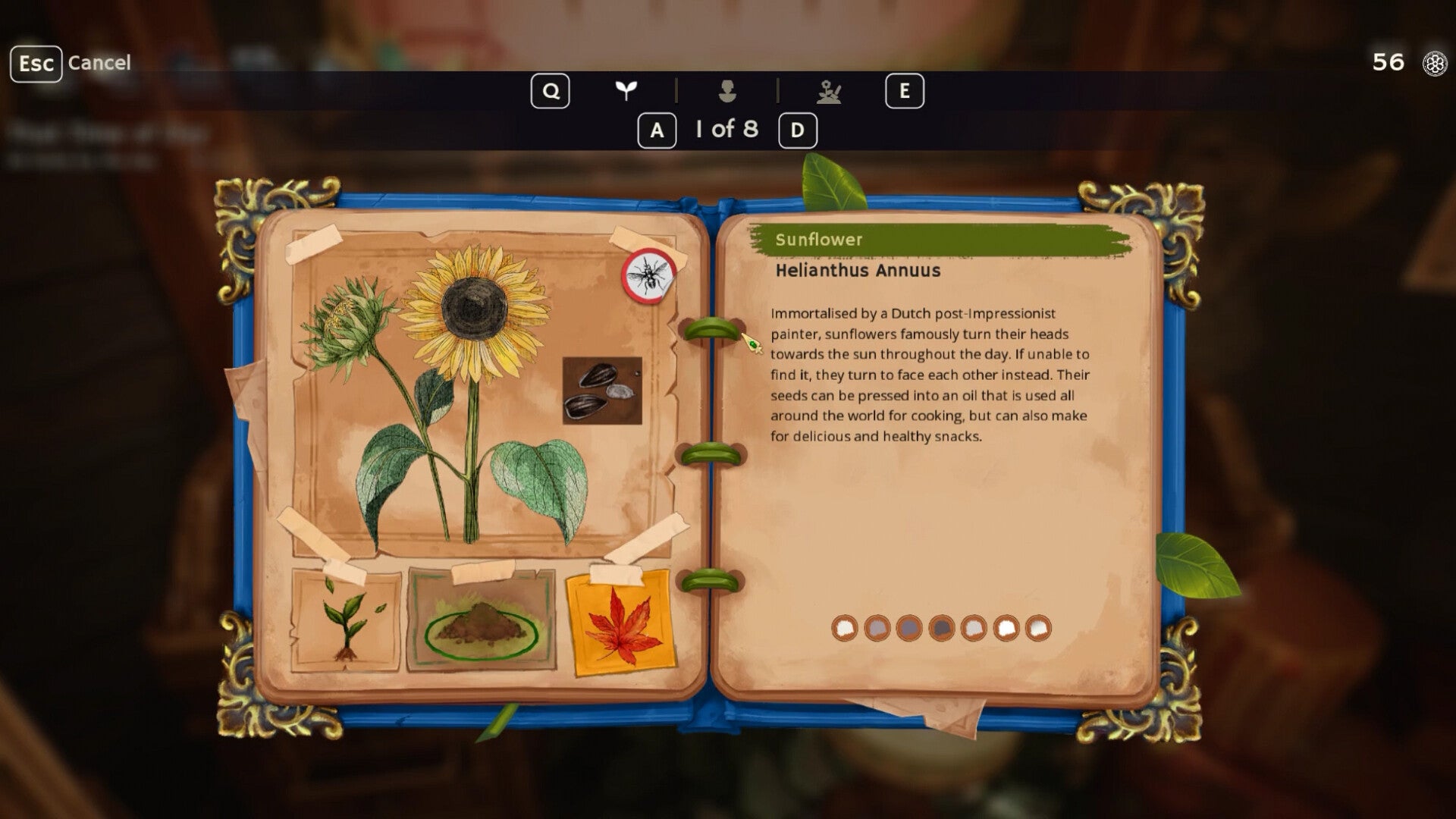 Garden Life Garden Party Edition US XBOX One / Xbox Series X|S CD Key
