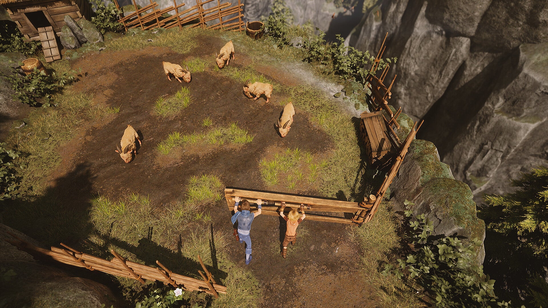 Brothers: A Tale of Two Sons Remake PS5 Account