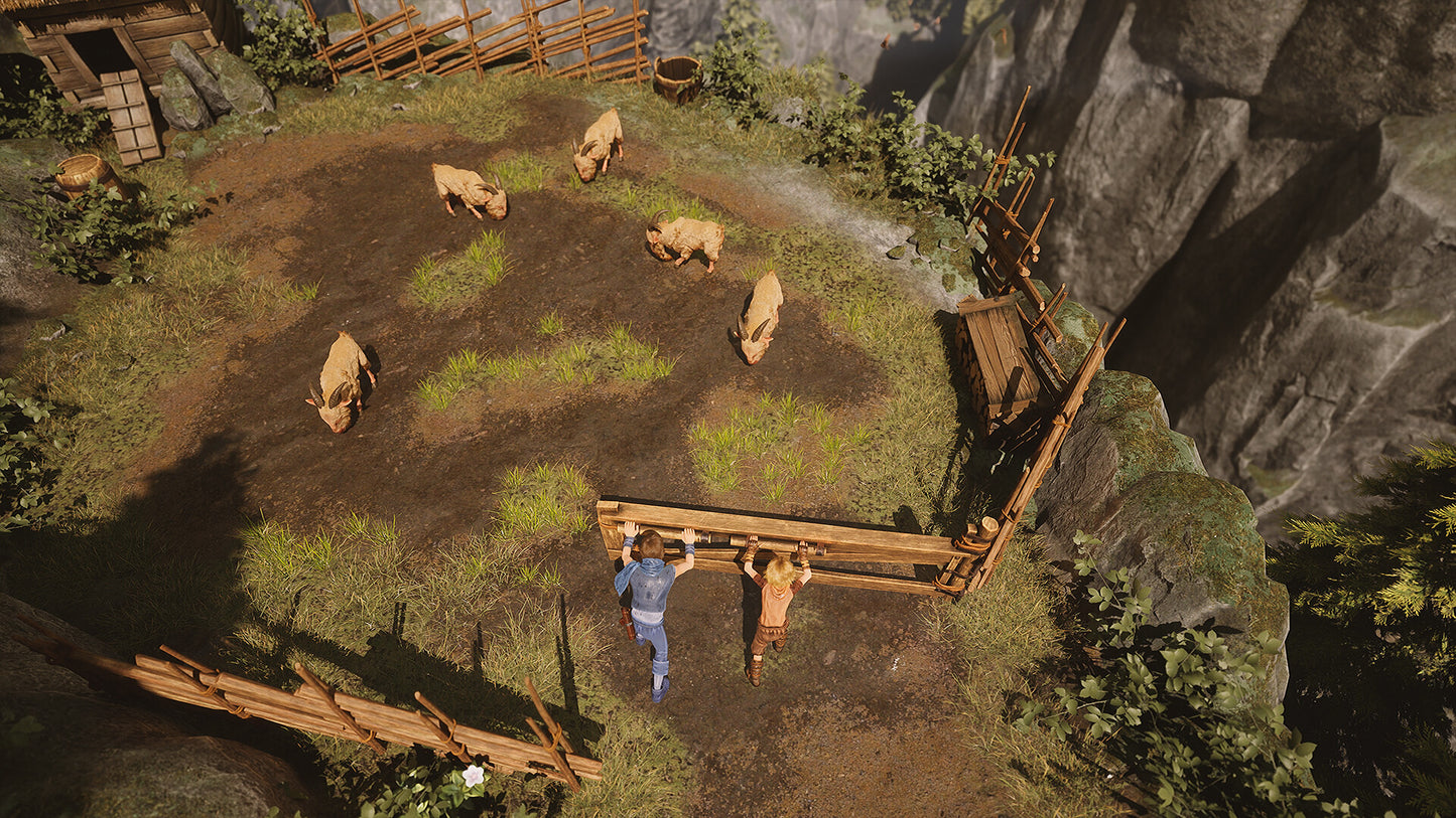 Brothers: A Tale of Two Sons Remake US Xbox Series X|S CD Key