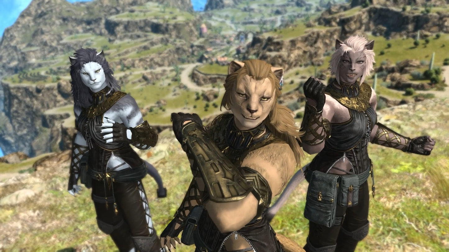 Final Fantasy XIV Dawntrail Complete Edition PC Steam Account