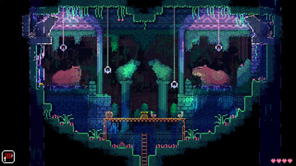 ANIMAL WELL PS5 Account