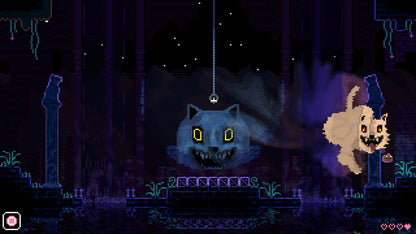 ANIMAL WELL PS5 Account