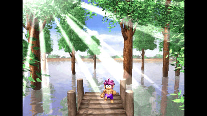 Tomba! Special Edition EU (without DE/NL/PL/AT) PS5 Account