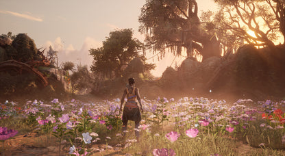 South of Midnight Xbox Series X|S / PC Account