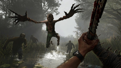 Dying Light: The Beast PS5 Account
