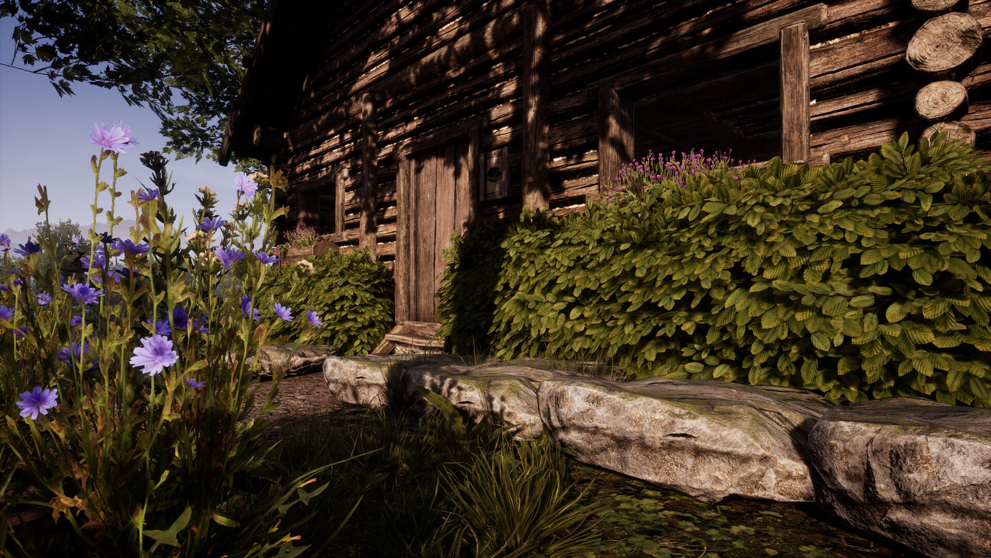 Medieval Dynasty - Echoes Edition Xbox Series X|S / PC Windows Account