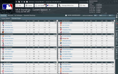 Out of the Park Baseball 17 Steam CD Key