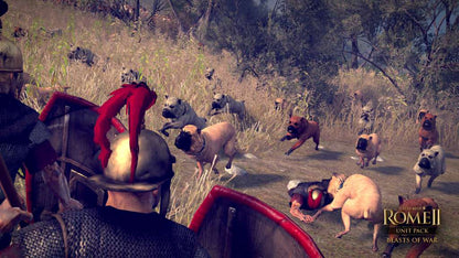 Total War: ROME II - Beasts of War Unit Pack DLC PC Steam CD Key