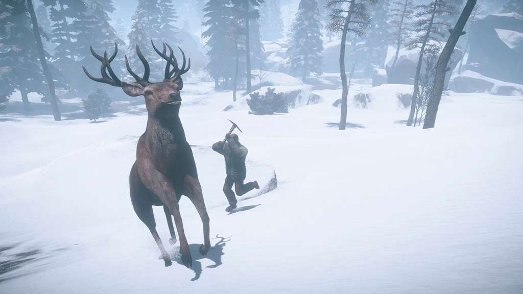 RUST Steam Gift