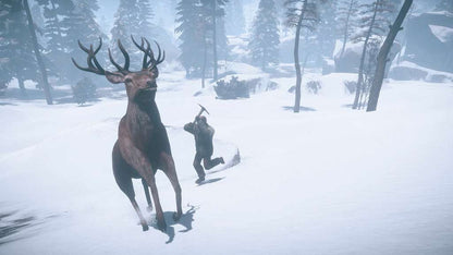RUST Steam Gift