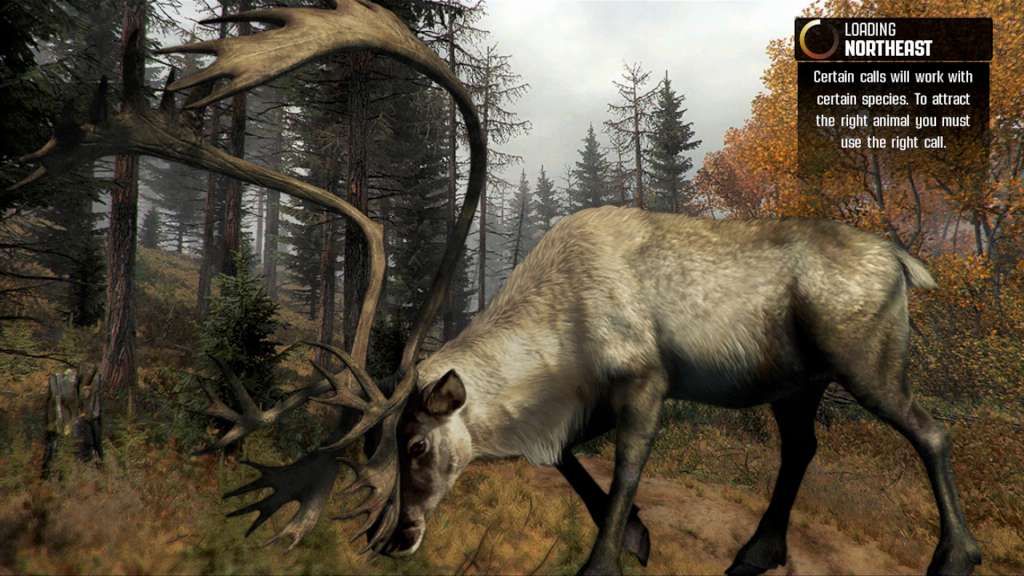 Cabela's Big Game Hunter Pro Hunts Steam Gift