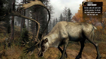 Cabela's Big Game Hunter Pro Hunts Steam Gift