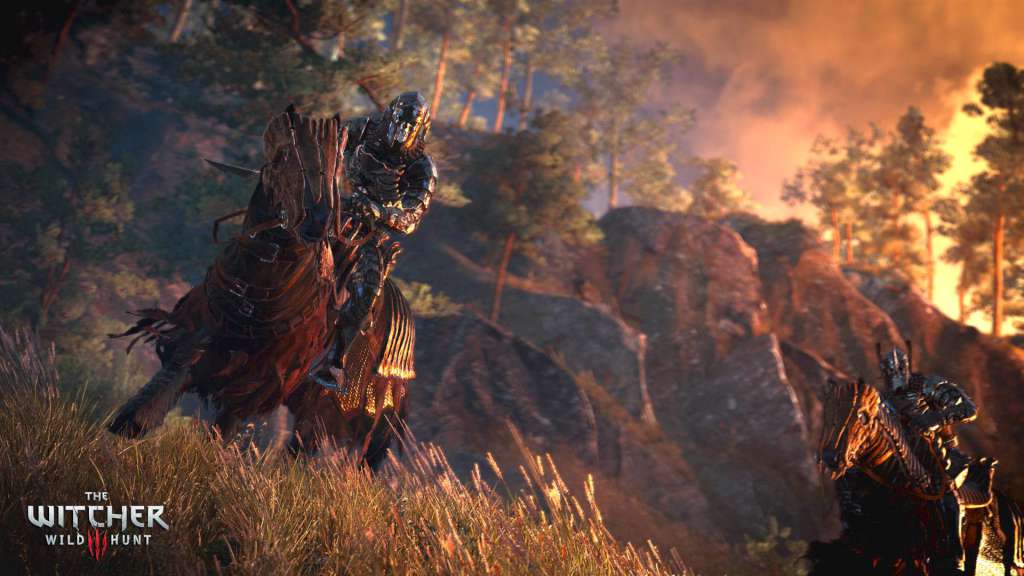 The Witcher 3: Wild Hunt - Expansion Pass GOG CD Key