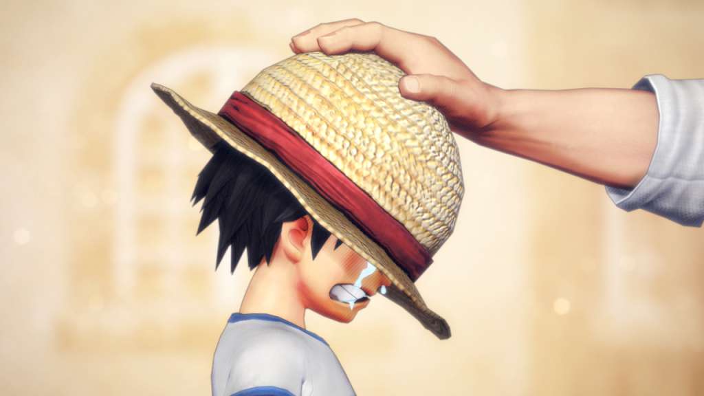 One Piece Pirate Warriors 3 Deluxe Edition Nintendo Switch Online Account Activation