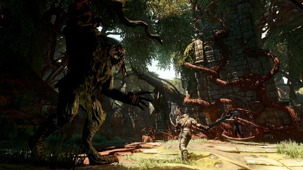 Bound By Flame Steam CD Key