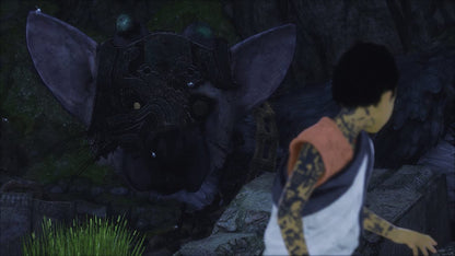 The Last Guardian PS4/PS5 Account