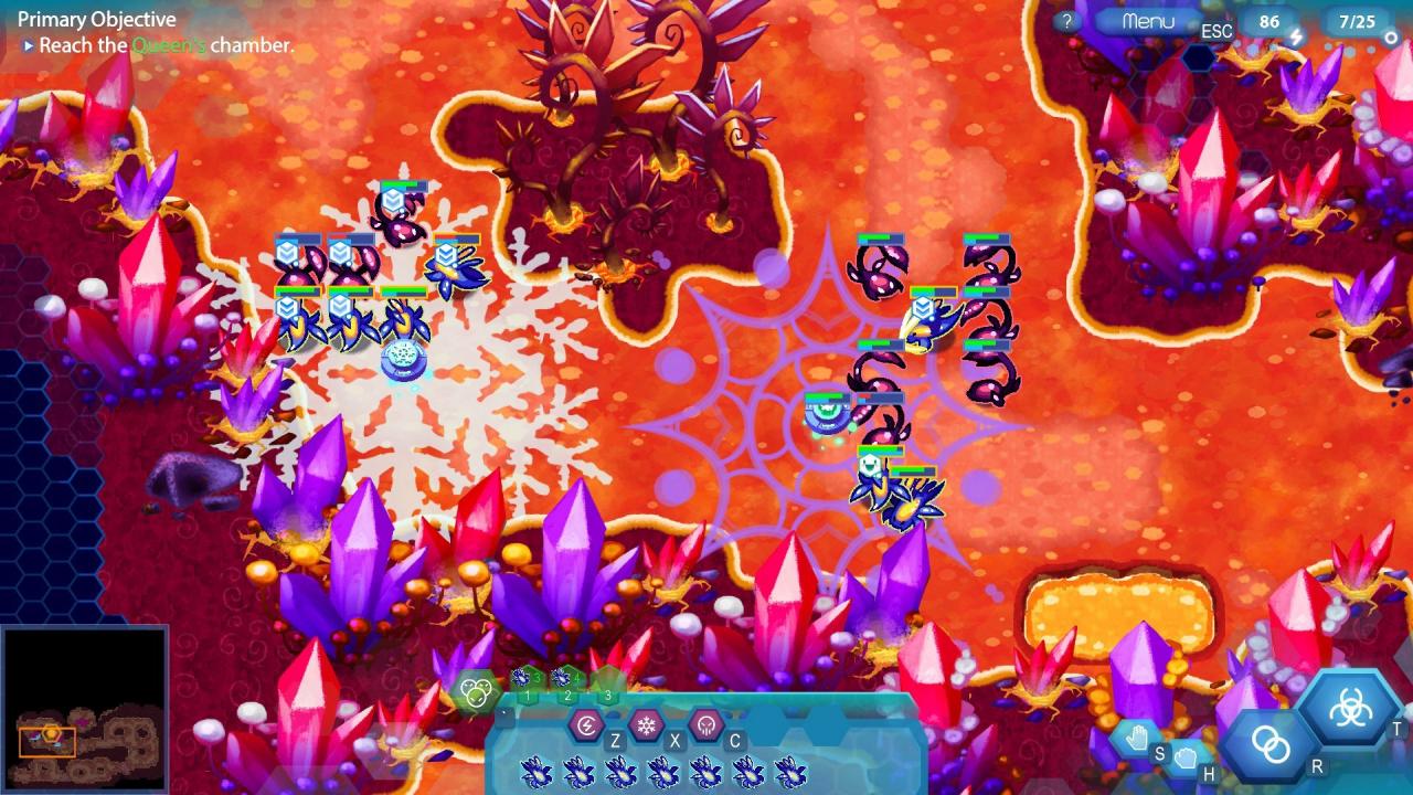 Amoeba Battle: Microscopic RTS Action US Nintendo Switch CD Key