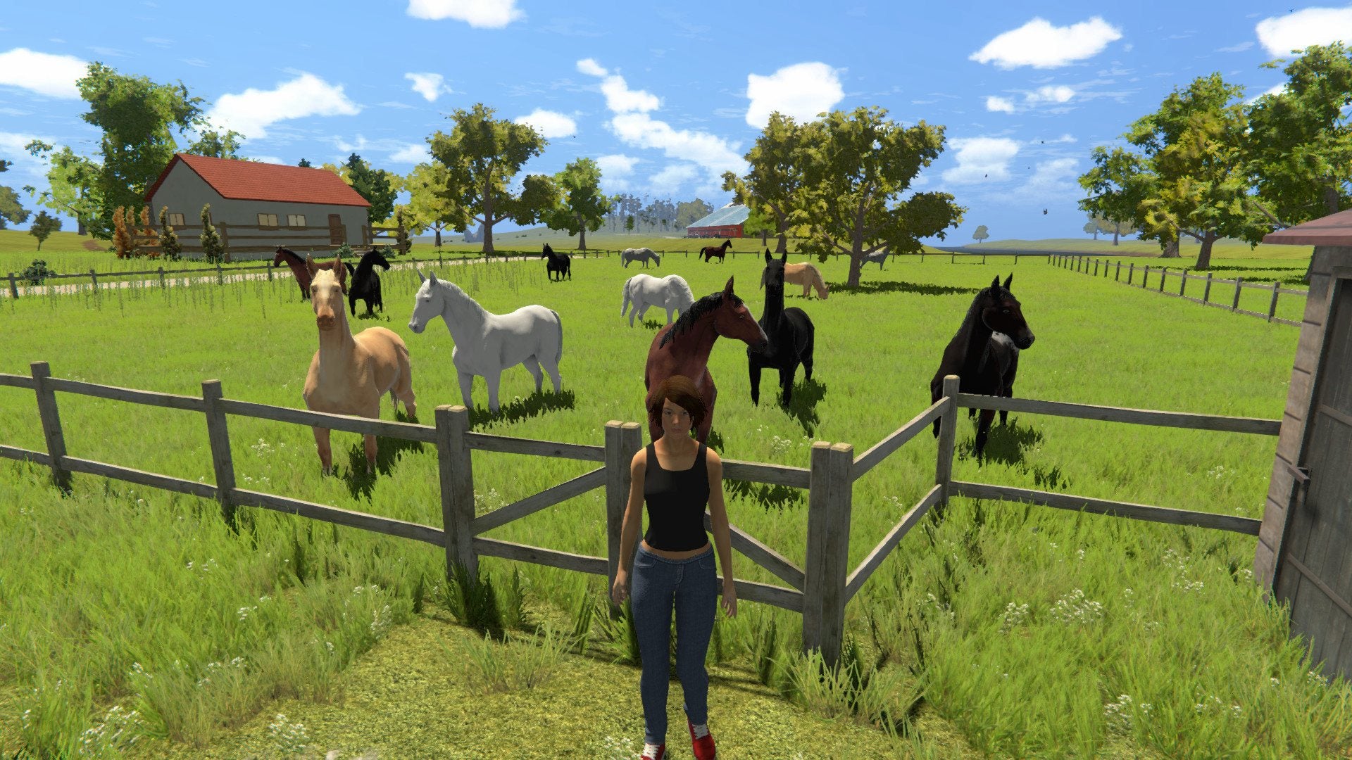My Little Riding Champion Steam CD Key