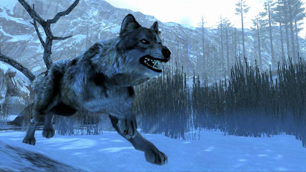 Cabela's Dangerous Hunts 2013 PC Steam Gift