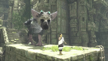 The Last Guardian PS4/PS5 Account