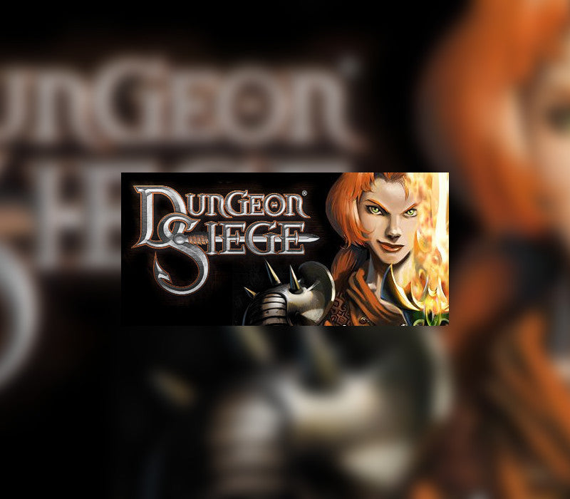 Dungeon Siege Complete PC Steam Gift