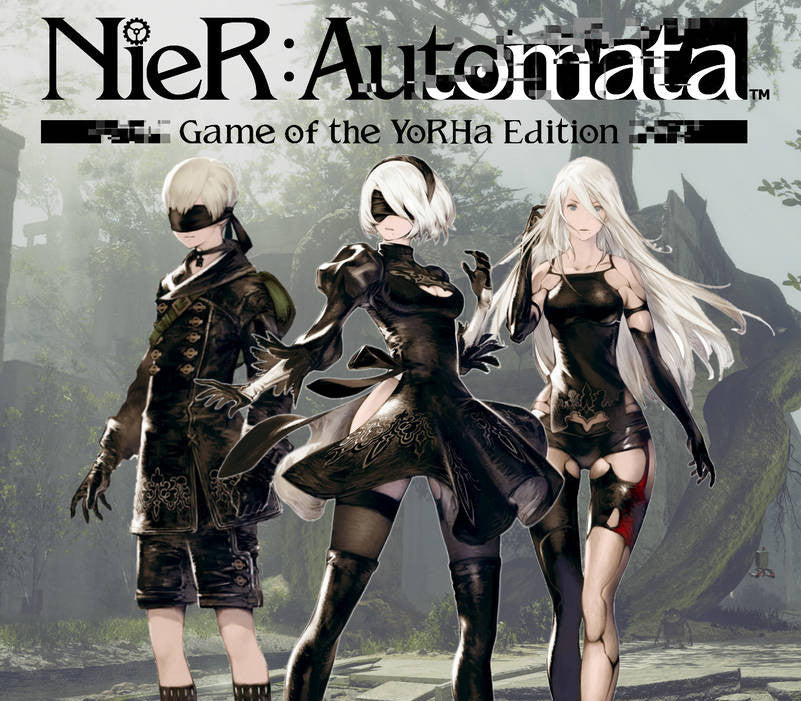 NieR: Automata Game of the YoRHa Edition PS4/PS5 Account