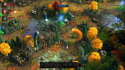 Druidstone: The Secret of the Menhir Forest PC GOG CD Key