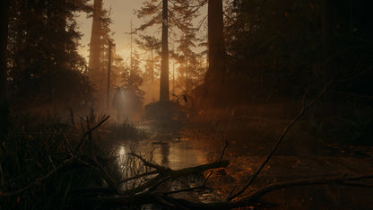 Alan Wake 2 Deluxe Edition Epic Games Green Gift Redemption Code