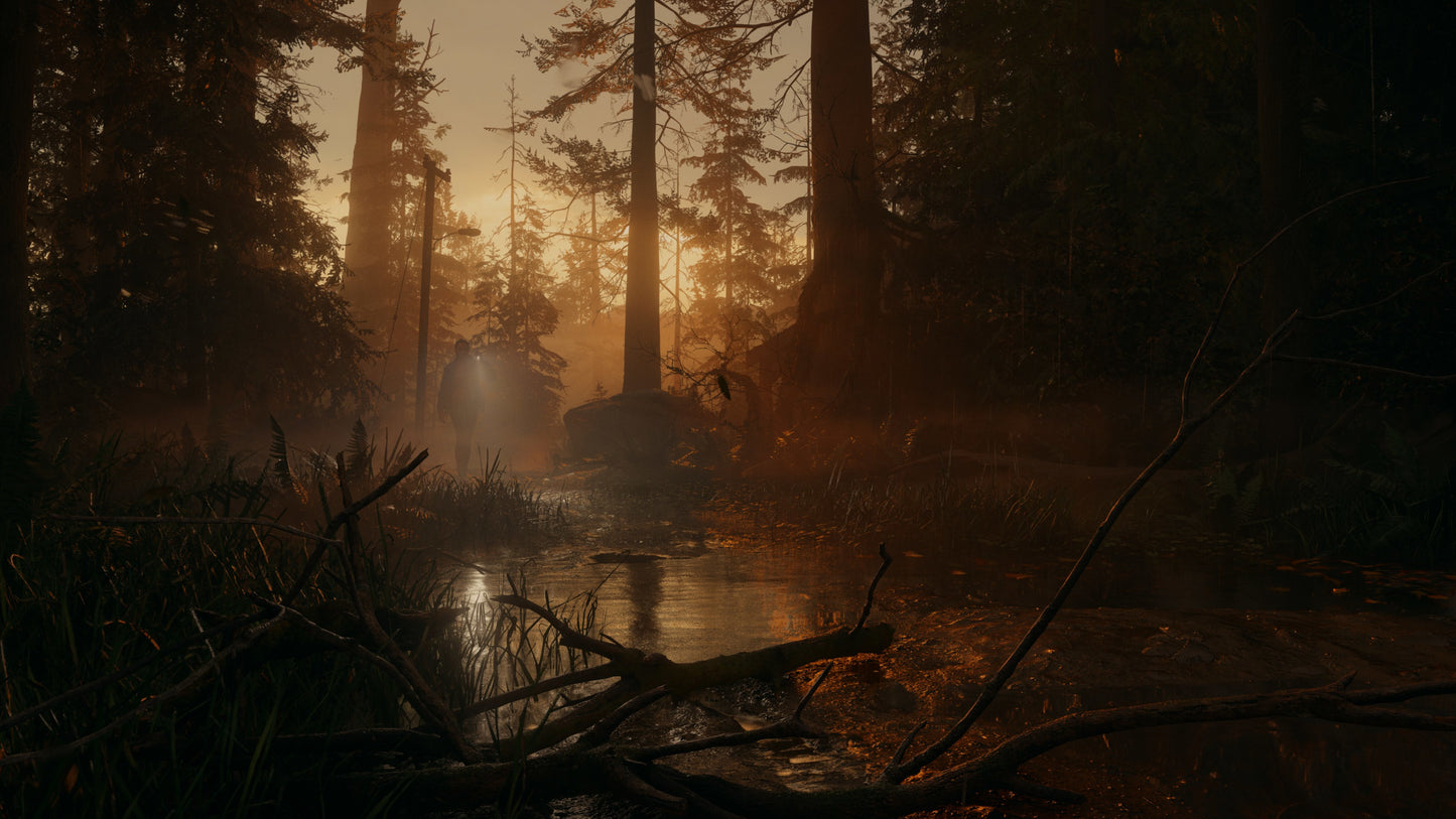 Alan Wake 2 Deluxe Edition PS5 Account