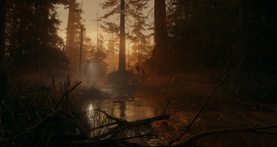 Alan Wake 2 PS5 Online Account Activation