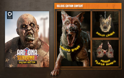 Arizona Sunshine 2 Deluxe Edition PS5 Account