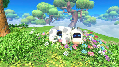 Astro Bot US PS5 CD Key