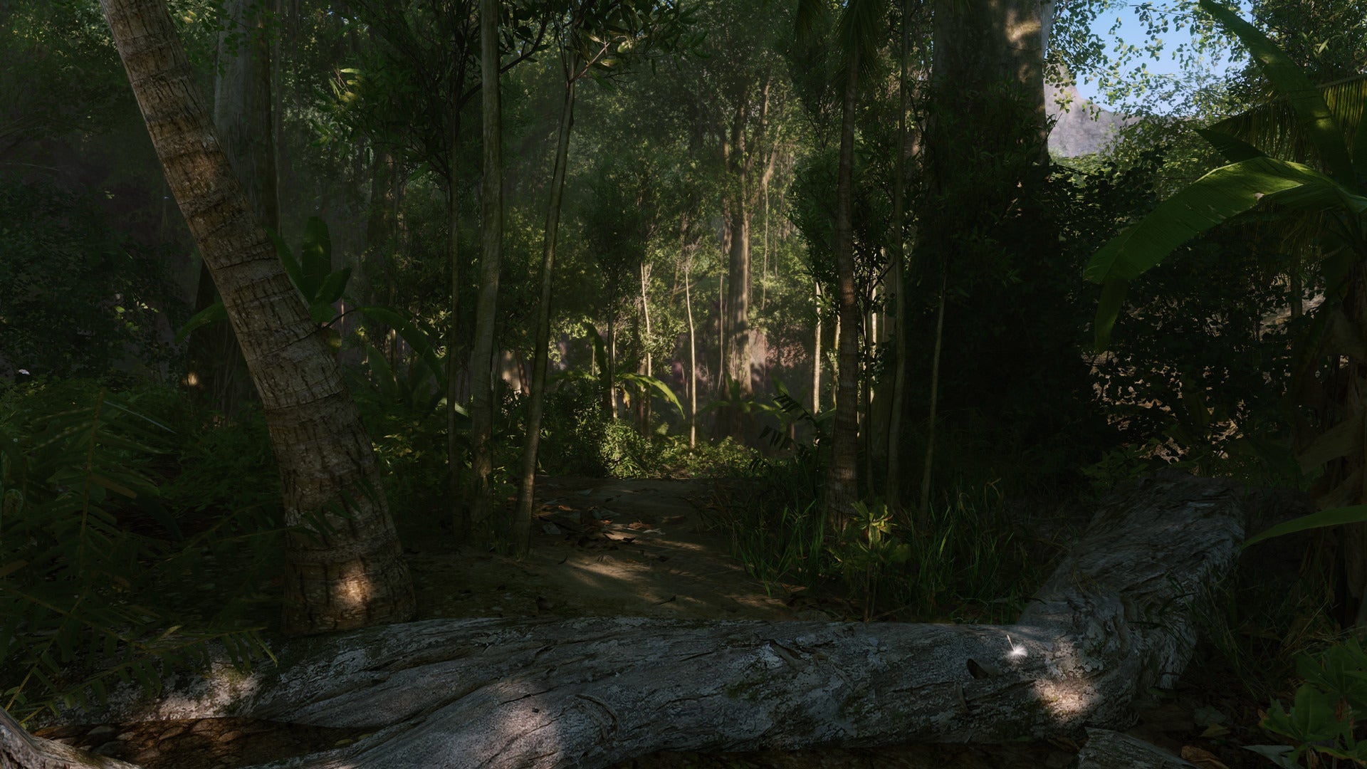 Crysis Remastered EU XBOX One CD Key