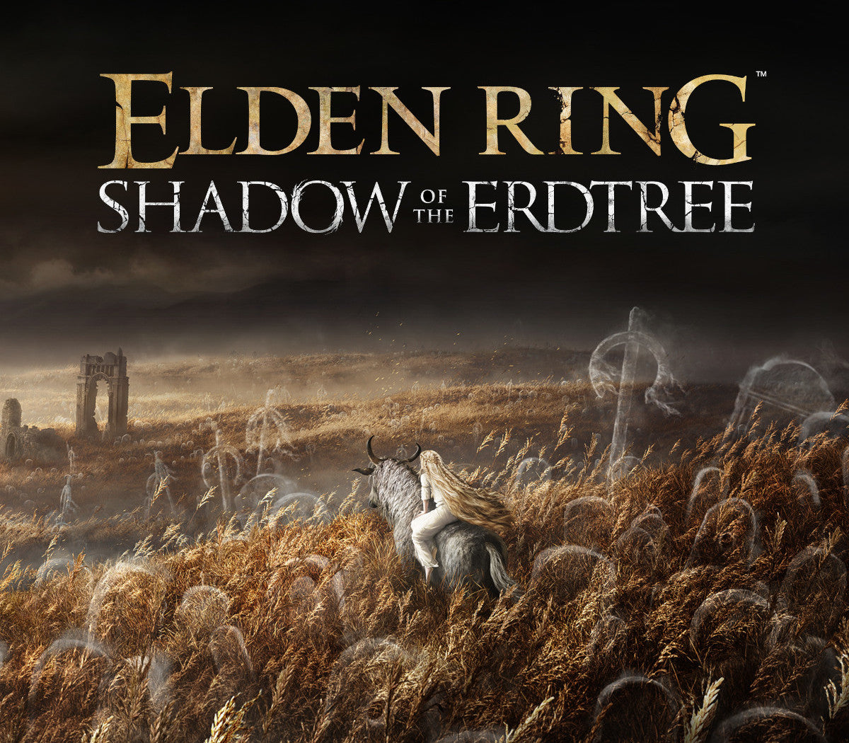 ELDEN RING - Shadow of the Erdtree DLC EU (without DE) PS4 CD Key