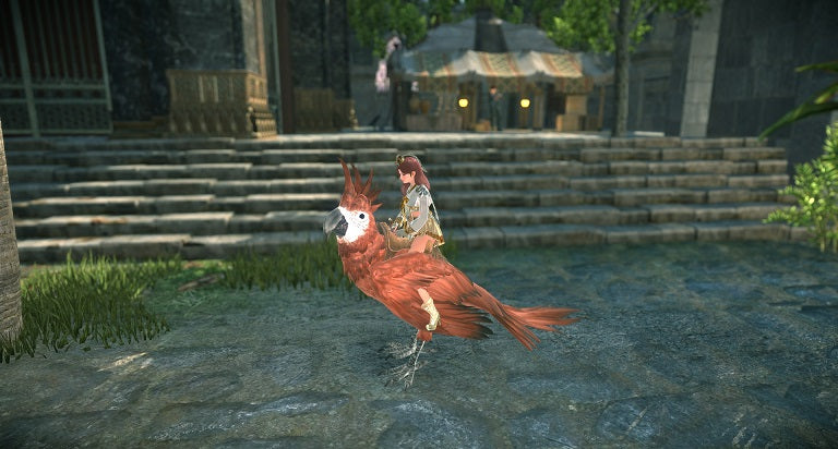 Elyon - Red Parrot Mount DLC Digital CD Key