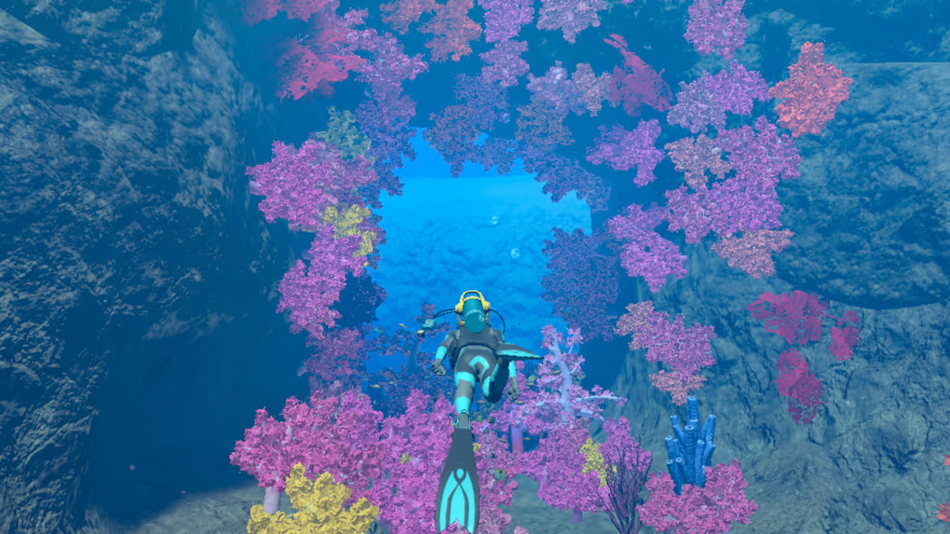Endless Ocean Luminous Nintendo Switch Online Account Activation