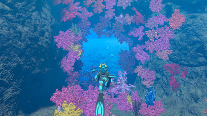 Endless Ocean Luminous Nintendo Switch Online Account Activation