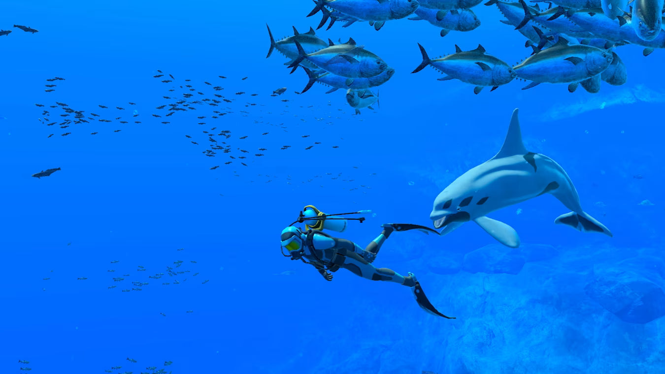 Endless Ocean Luminous Nintendo Switch Online Account Activation