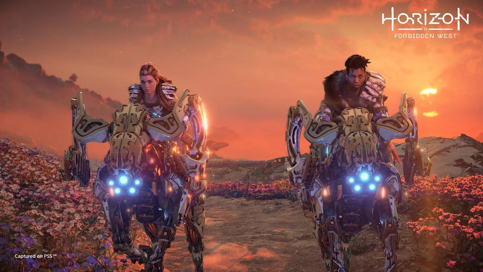 Horizon Forbidden West PS5 Account