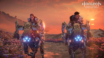 Horizon Forbidden West PS4 Account